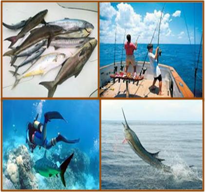 Deep Water Fishing Trips in Dubai UAE