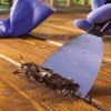 How to paint a porch deck