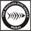 Pavilion Dive Centre Dubai Overview