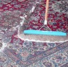 How to clean carpets