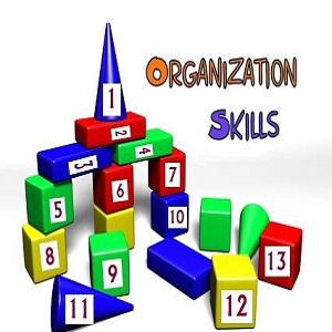 Organizational Skills through Toys