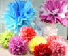 Tissue Paper Flowers