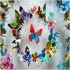 Make Paper Butterflies