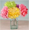 Make Tissue Paper Flower