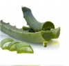 Aloe Vera Gel