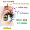 Apply Eyelash Extensions