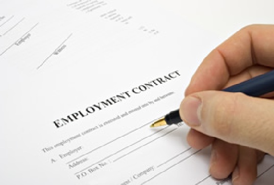 Employment Contract