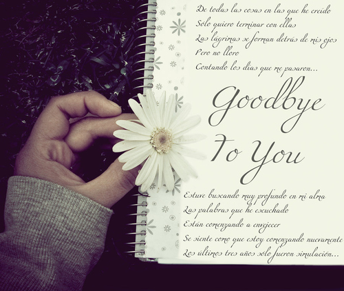 Goodbye Love Letter