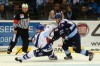 Hamburg Freezers