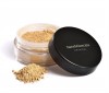 Bare Minerals foundation