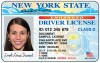 a driver licence