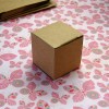Mini Kraft Box