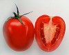 Plum tomato