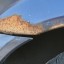 Corrosion on the Car