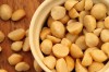 Golden Macadamia nuts