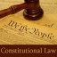 Constitutional Lawyer