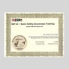 BST Certificate