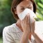 Allergy to mildew