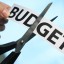 Cuttin Budget