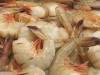 Fresh shrimp