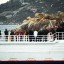 Vessel Remains Stricken on First Anniversary of Costa Concordia Disaster