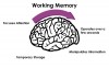 Working memory