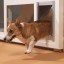 doggie door