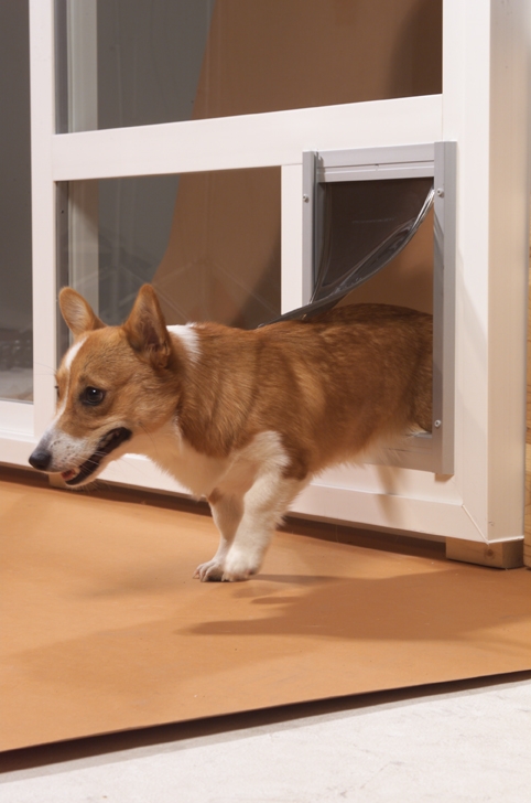 doggie door