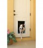 Dog coming out from Doggie door