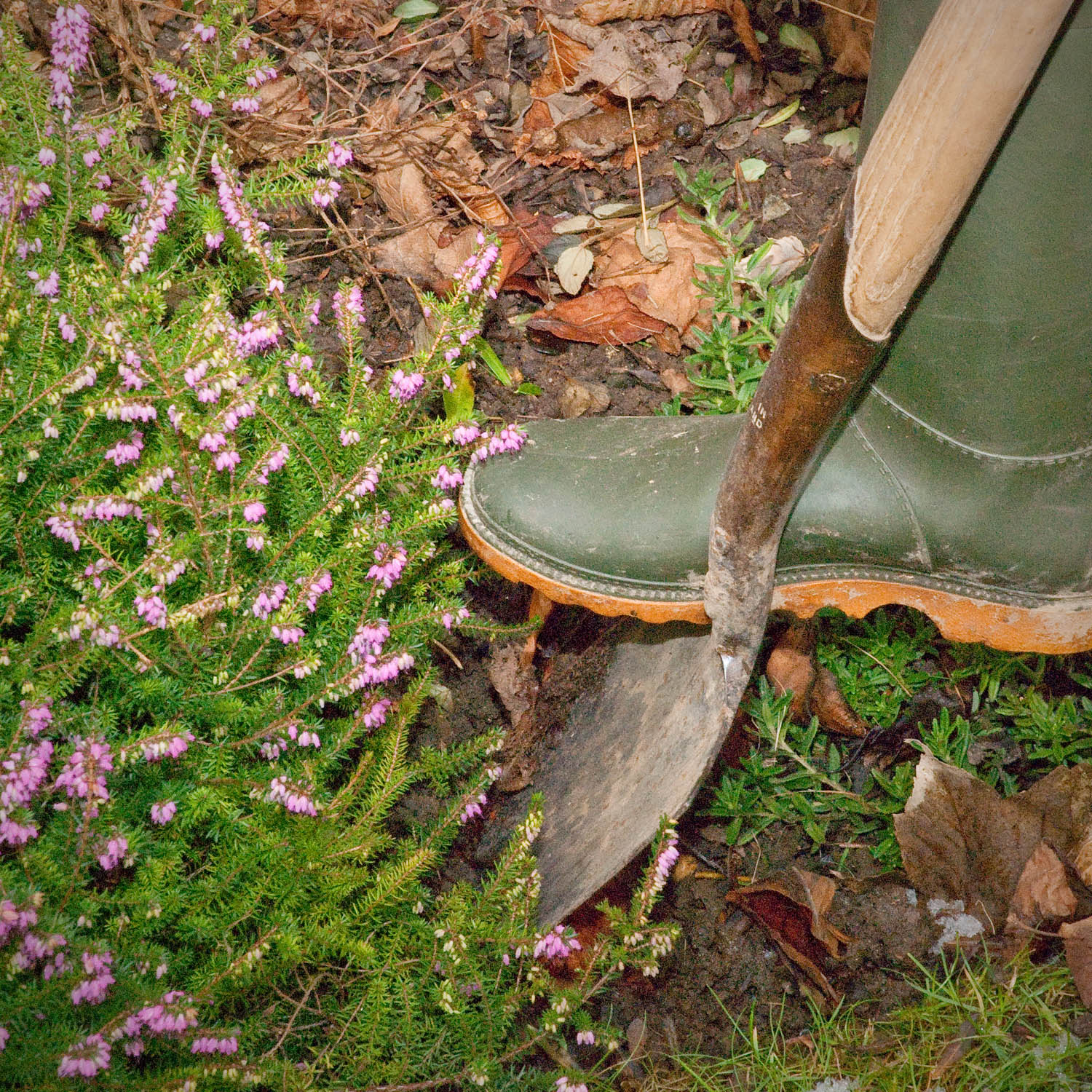 How to Install a Rabbit Proof Fence