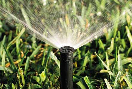 In-Ground sprinkler