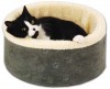 Cat in a pet bed