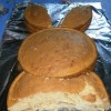 Bunny Rabbit Cake