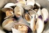 Steaming clams