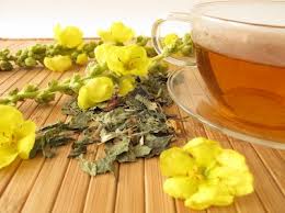 Mullein Tea