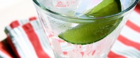 Gin And Tonic with Lime Juice