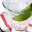 Gin And Tonic with Lime Juice