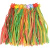 Colourful Hula skirt