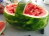 Watermelon basket