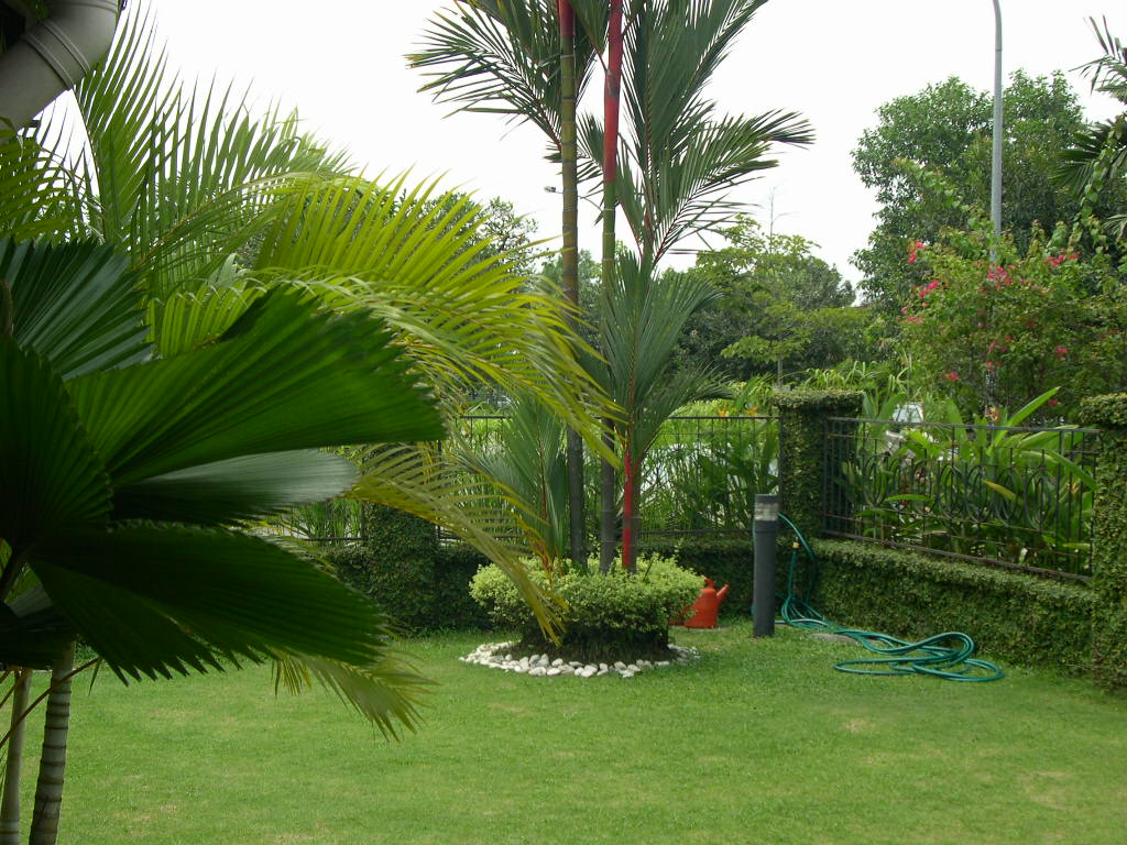 Removing Rocks from a Garden