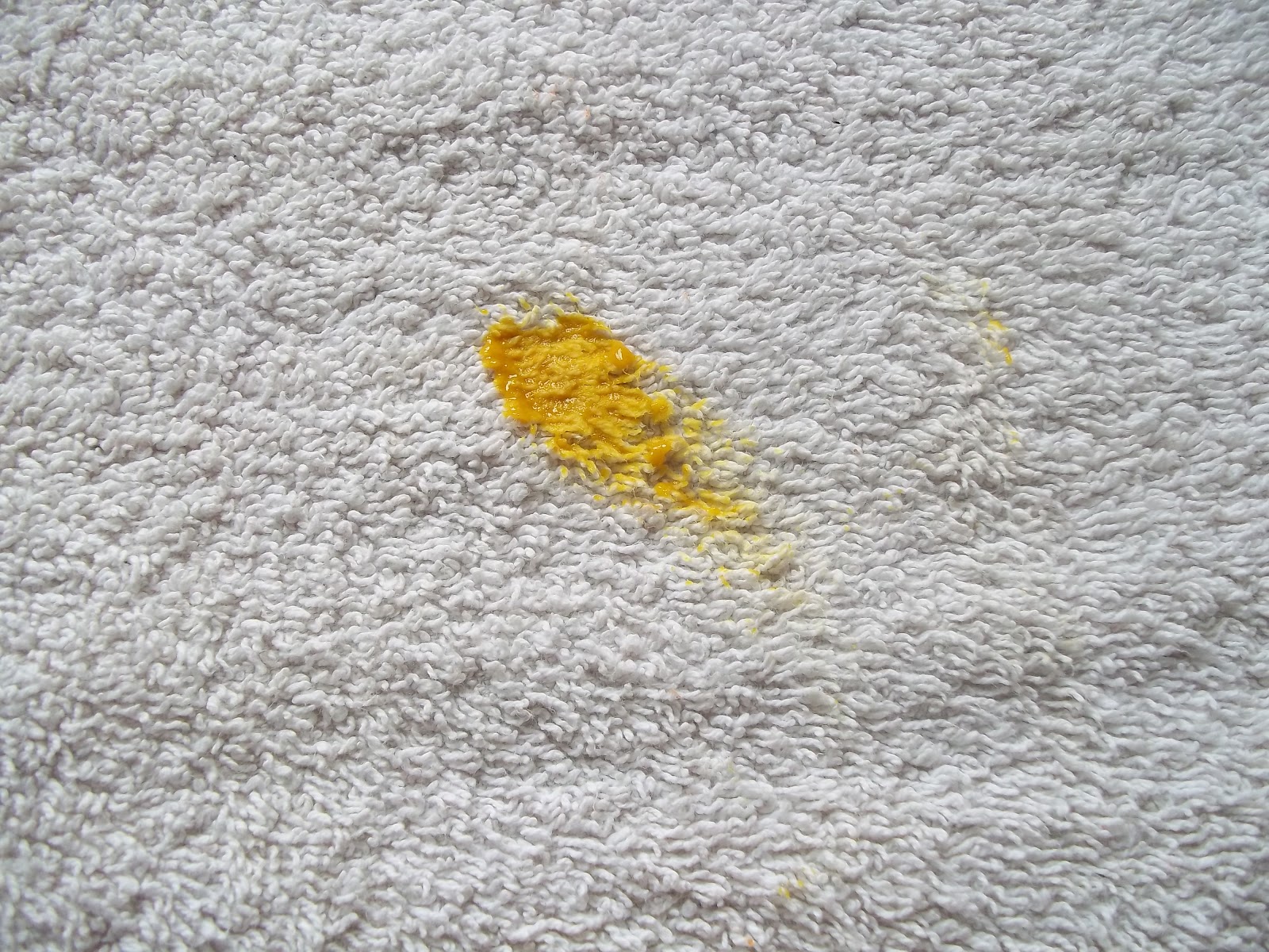 Mustard Stain on Carpet