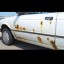 Rust Spots on a car