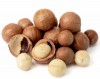 Shelling Macadamia nuts