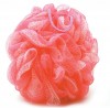 Bath Sponge