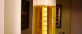 How to Use a Beer Hydrometer