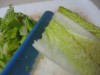 Cutting lettuce