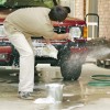 Couple cleaning their car