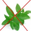 No Mint for Aspirin Allergy