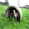 Pet Goat Shelter