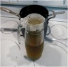 How to Brew Sarsaparilla Tea